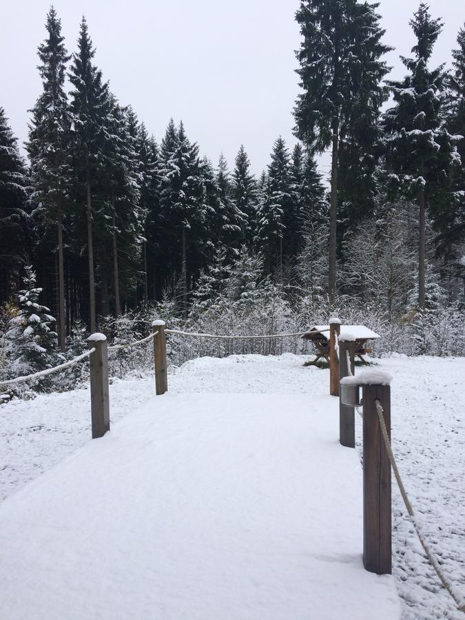 Ht Chalets Harrachov Eksteriør bilde